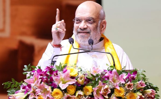 Rahul Gandhi will lose by a big margin in Raebareli: Amit Shah